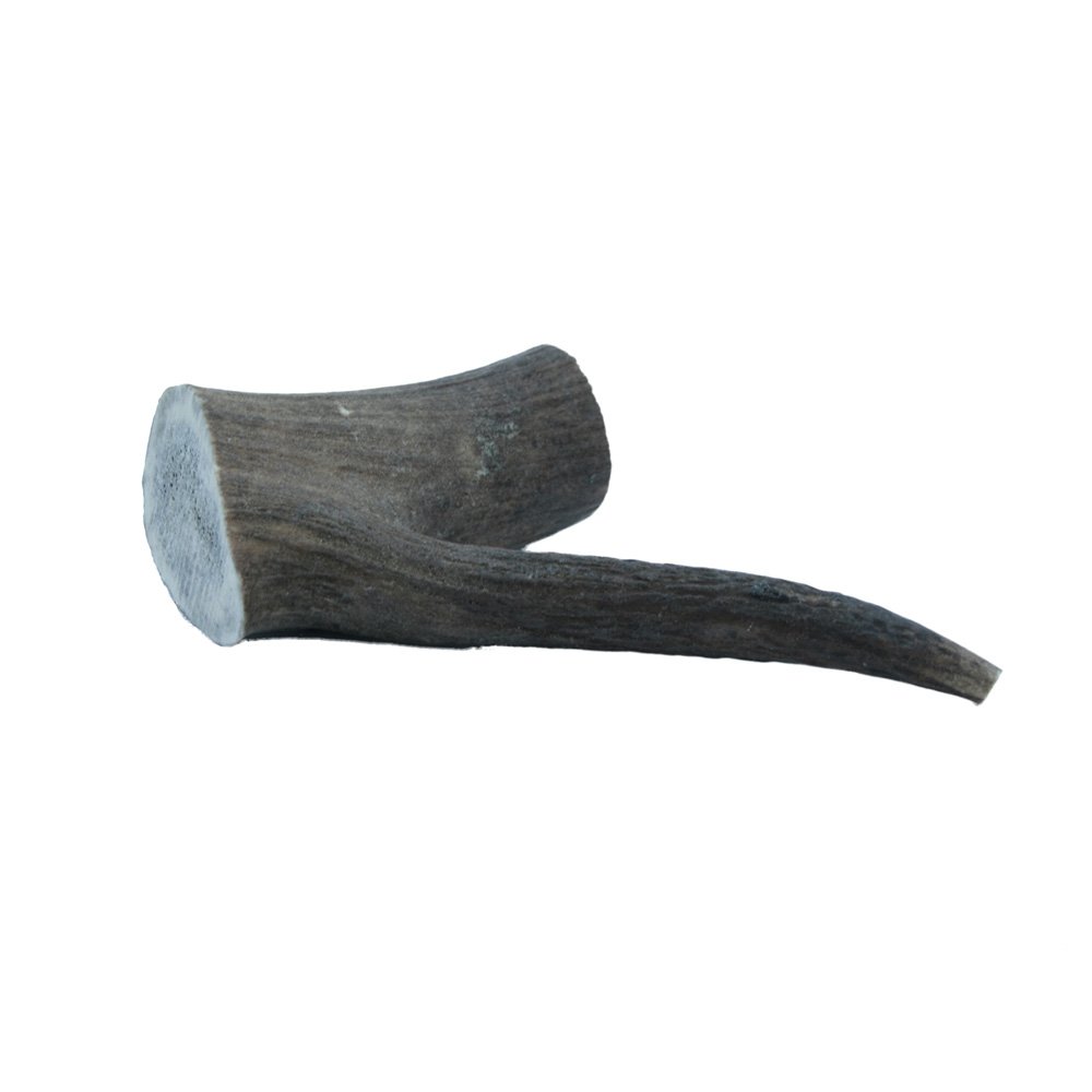 Deer Antler for dogs