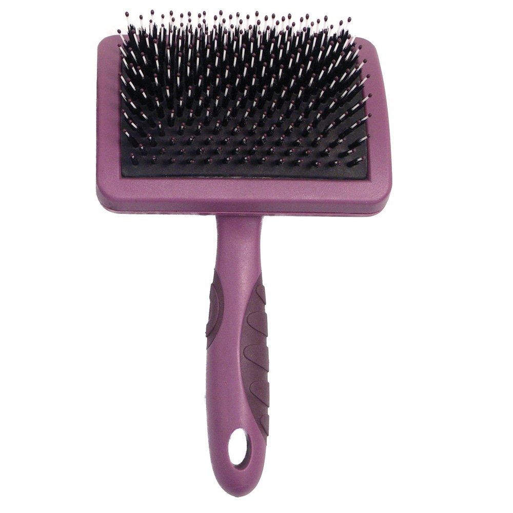 Rosewood Porcupine Brush