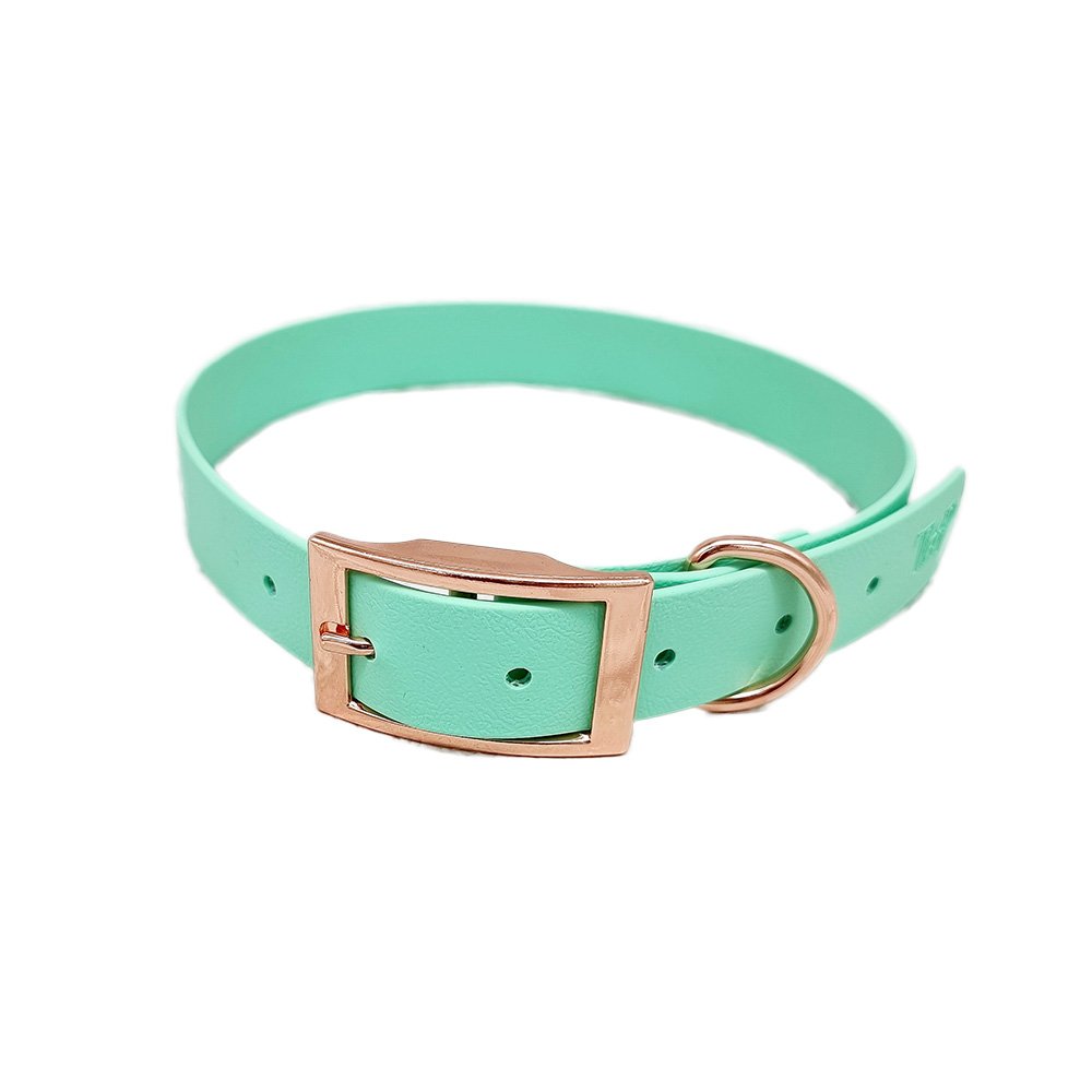 Trinkety Paws City Collection Biothane Dog Collar Seafoam Extra Large 48-60cm 25mm