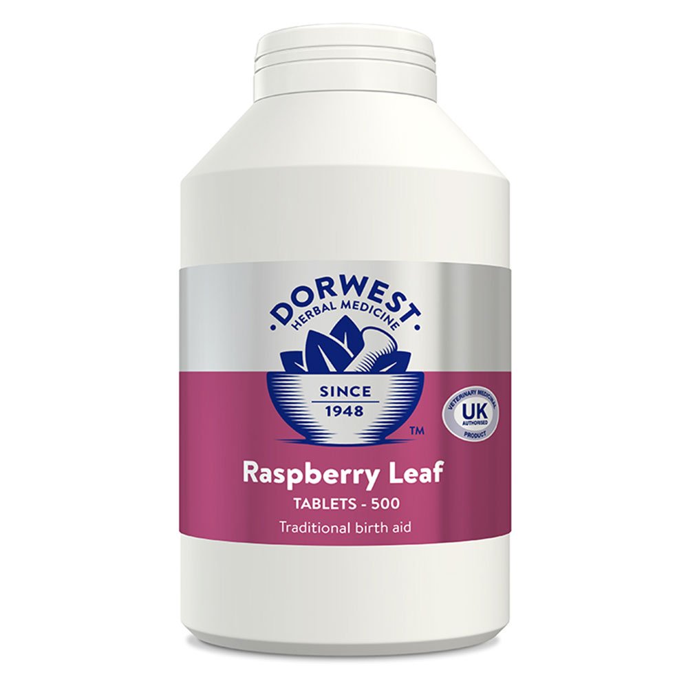 Dorwest Raspberry Leaf