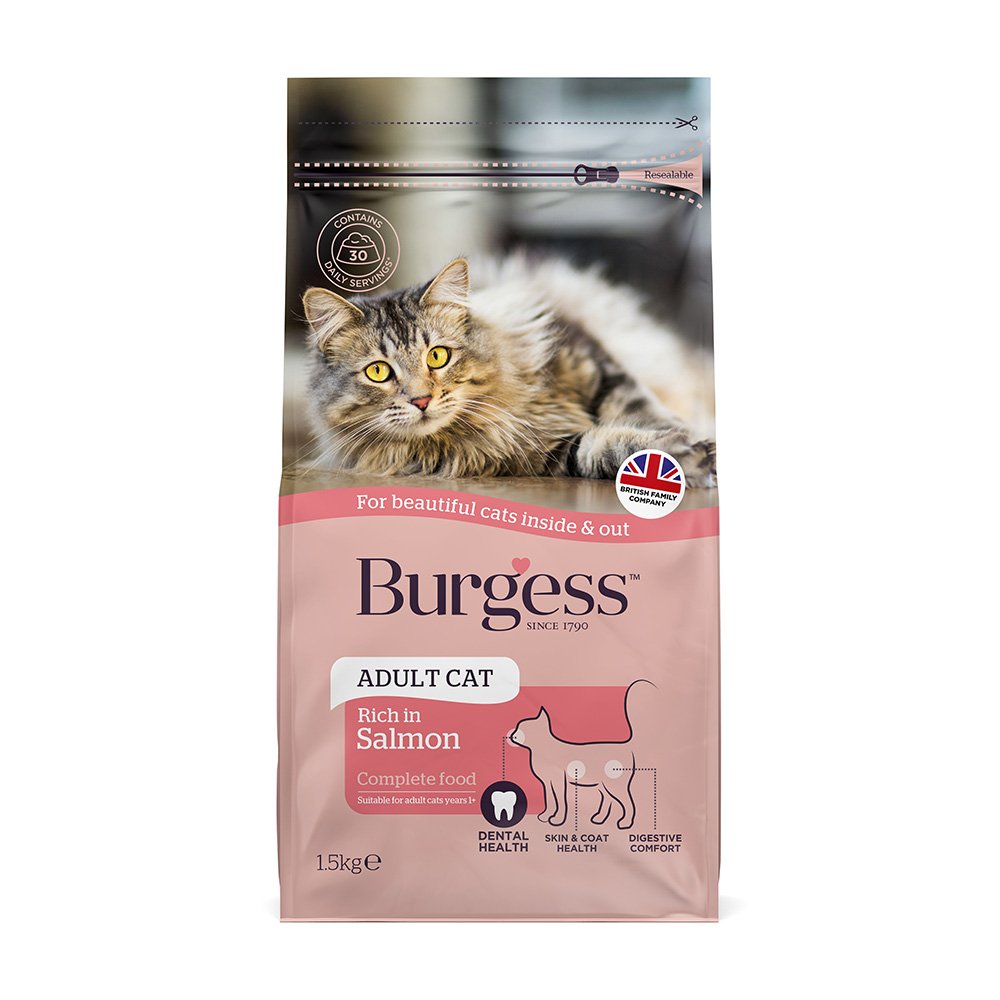 Burgess Adult Scottish Salmon