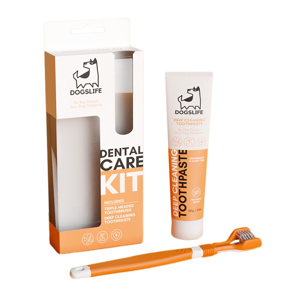 Dogslife Dental Kit