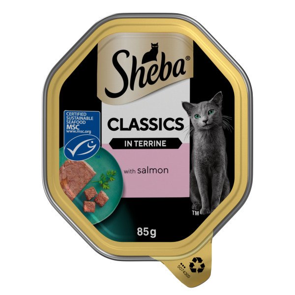 Sheba Classics In Terrine With Salmon Tray 22x85g
