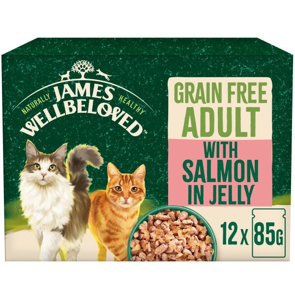 James Wellbeloved Cat Adult Grain Free with Salmon in Jelly Pouch 12x85g