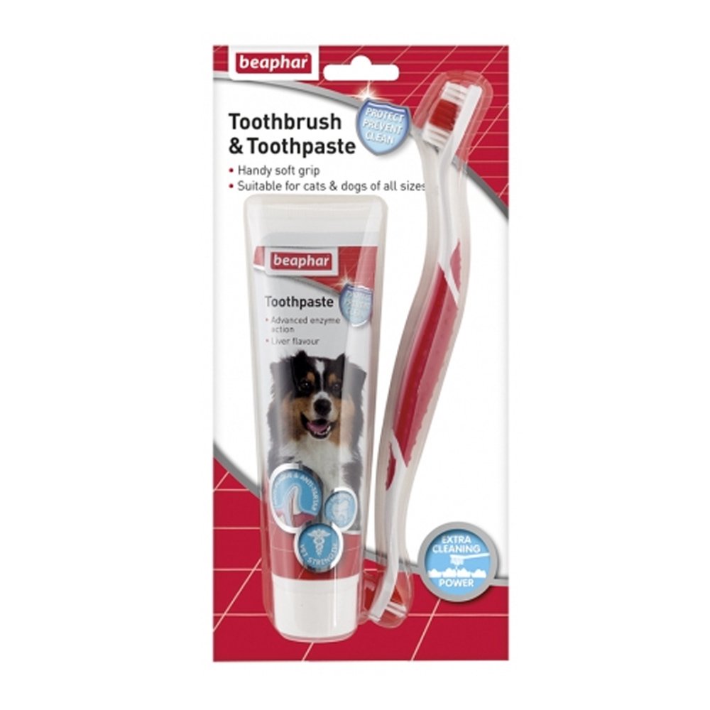 Beaphar Dental Kit Toothbrush & Toothpaste 6x100gm