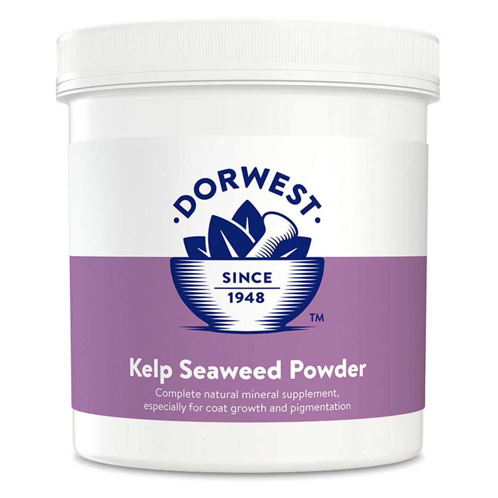 Dorwest Kelp Seaweed Powder
