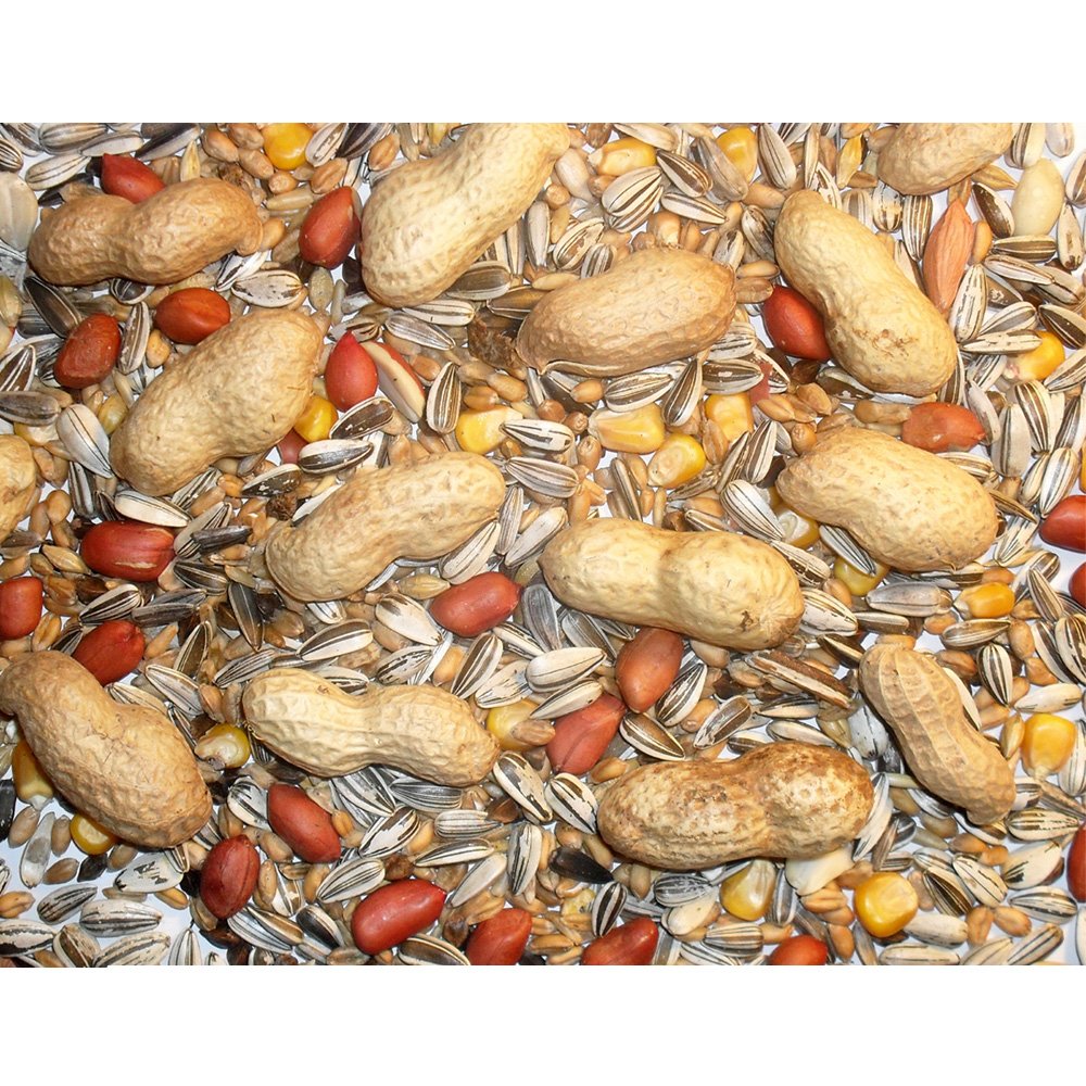 Johnston & Jeff Chipmunk & Squirrel Mix 12.5kg