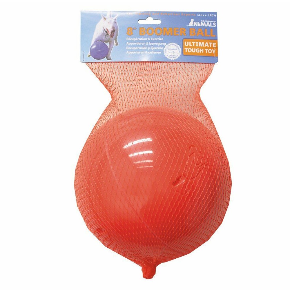 Company Of Animals Boomer Ball