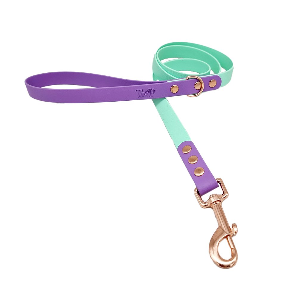 Trinkety Paws City Collection Biothane Dog Lead Seafoam/Amethyst 120cm 16mm