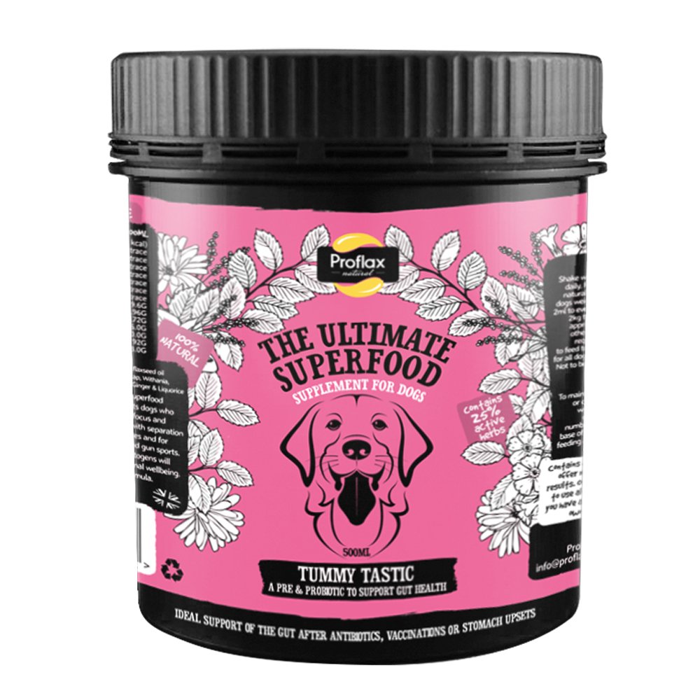 Proflax Tummy Tastic Supplement 350g
